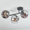 Ripoll ceiling light, globe light chrome, clear, Smoke-coloured, 3-light sources