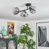 Ripoll ceiling light, globe light clear, Smoke-coloured, 3-light sources