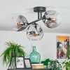 Ripoll ceiling light, globe light clear, Smoke-coloured, 3-light sources