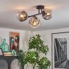Ripoll ceiling light, globe light clear, Smoke-coloured, 3-light sources