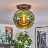 Ripoll ceiling light, globe light green, 1-light source