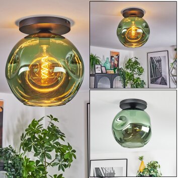 Ripoll ceiling light, globe light green, 1-light source