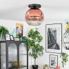 Ripoll ceiling light, globe light clear, coppery, 1-light source