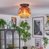 Ripoll ceiling light, globe light clear, coppery, 1-light source