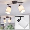 Fallhagen ceiling light, ceiling spotlight black, 2-light sources
