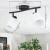 Fallhagen ceiling light, ceiling spotlight black, 2-light sources