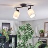 Fallhagen ceiling light, ceiling spotlight black, 2-light sources
