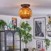 Ripoll ceiling light, globe light gold, 1-light source