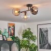 Koyoto ceiling light, globe light Amber, clear, Smoke-coloured, 3-light sources
