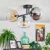 Koyoto ceiling light, globe light Amber, clear, Smoke-coloured, 3-light sources