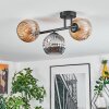 Ripoll ceiling light, globe light Amber, Smoke-coloured, 3-light sources