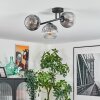 Ripoll ceiling light, globe light clear, Smoke-coloured, 3-light sources