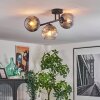 Ripoll ceiling light, globe light clear, Smoke-coloured, 3-light sources
