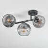 Ripoll ceiling light, globe light clear, Smoke-coloured, 3-light sources