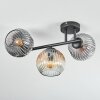 Ripoll ceiling light, globe light Amber, clear, Smoke-coloured, 3-light sources