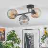 Ripoll ceiling light, globe light Amber, clear, Smoke-coloured, 3-light sources