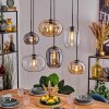 Apedo hanging light, globe light, pendant light Amber, clear, Smoke-coloured, 6-light sources