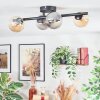 Chehalis ceiling light, globe light Amber, Smoke-coloured, 4-light sources