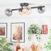 Chehalis ceiling light, globe light Amber, clear, Smoke-coloured, 4-light sources