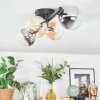 Chehalis ceiling light, globe light Amber, clear, Smoke-coloured, 4-light sources