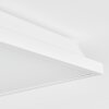 Raimea ceiling light, Panel LED white, 1-light source