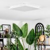 Raimea ceiling light, Panel LED white, 1-light source