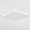 Raimea ceiling light, Panel LED white, 1-light source