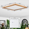 Raimea ceiling light, Panel LED Ecru, white, 1-light source