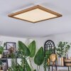 Raimea ceiling light, Panel LED Ecru, white, 1-light source