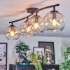Koyoto ceiling light, globe light Amber, clear, 4-light sources