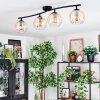 Koyoto ceiling light, globe light Amber, clear, 4-light sources