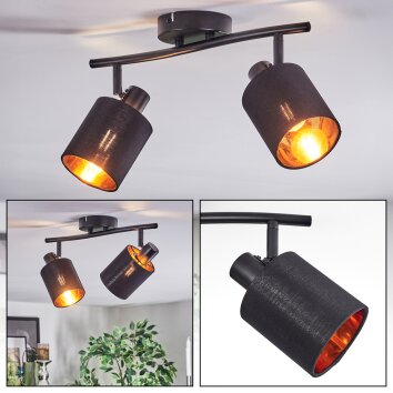 Fallhagen ceiling light, ceiling spotlight black, 2-light sources