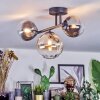 Chehalis ceiling light, globe light Amber, clear, Smoke-coloured, 3-light sources