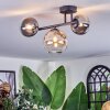 Chehalis ceiling light, globe light Amber, clear, Smoke-coloured, 3-light sources