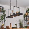Genor hanging light, pendant light LED black, white, 1-light source, Remote control