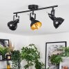 Toren ceiling light, ceiling spotlight chrome, black, 3-light sources