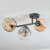 Ripoll ceiling light, globe light Amber, clear, Smoke-coloured, 3-light sources