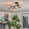 Ripoll ceiling light, globe light Amber, clear, Smoke-coloured, 3-light sources