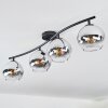 Koyoto ceiling light, globe light chrome, clear, Smoke-coloured, 4-light sources