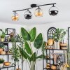 Koyoto ceiling light, globe light Amber, chrome, Smoke-coloured, 4-light sources