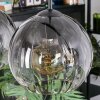 Koyoto hanging light, globe light, pendant light clear, Smoke-coloured, 4-light sources