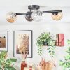 Chehalis ceiling light, globe light Amber, clear, Smoke-coloured, 4-light sources