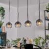 Koyoto hanging light, globe light, pendant light clear, Smoke-coloured, 4-light sources