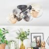 Chehalis ceiling light, globe light Amber, clear, Smoke-coloured, 4-light sources