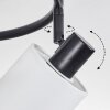Fallhagen ceiling light, ceiling spotlight black, 3-light sources
