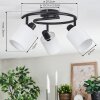 Fallhagen ceiling light, ceiling spotlight black, 3-light sources