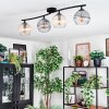 Koyoto ceiling light, globe light Amber, clear, Smoke-coloured, 4-light sources