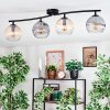Koyoto ceiling light, globe light Amber, clear, Smoke-coloured, 4-light sources