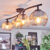 Koyoto ceiling light, globe light Amber, clear, Smoke-coloured, 4-light sources