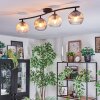 Koyoto ceiling light, globe light Amber, clear, Smoke-coloured, 4-light sources